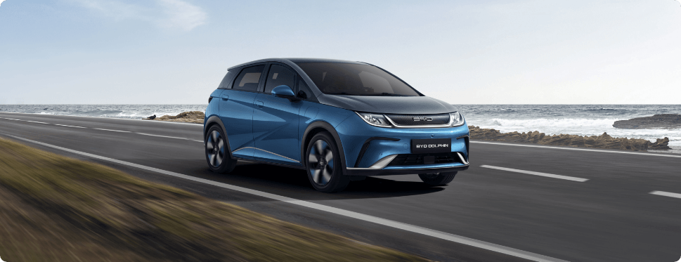 ag亚洲集团 Dolphin