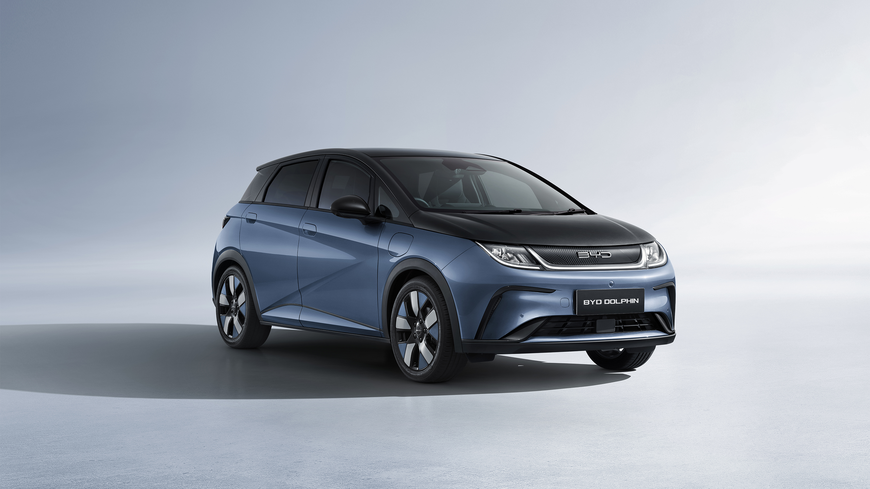 ag亚洲集团 Dolphin